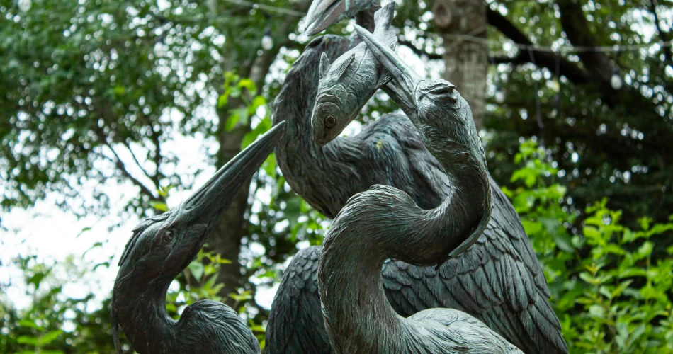 10 Best Things to Do for Couples in San Antonio